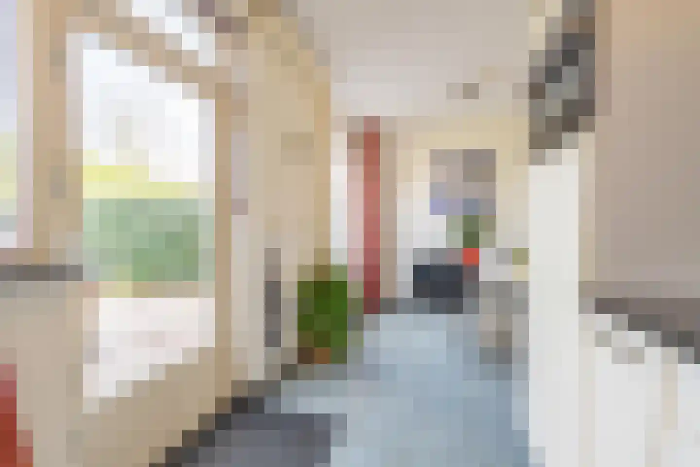 Buitenlust 116 Tiel thumbnail 25