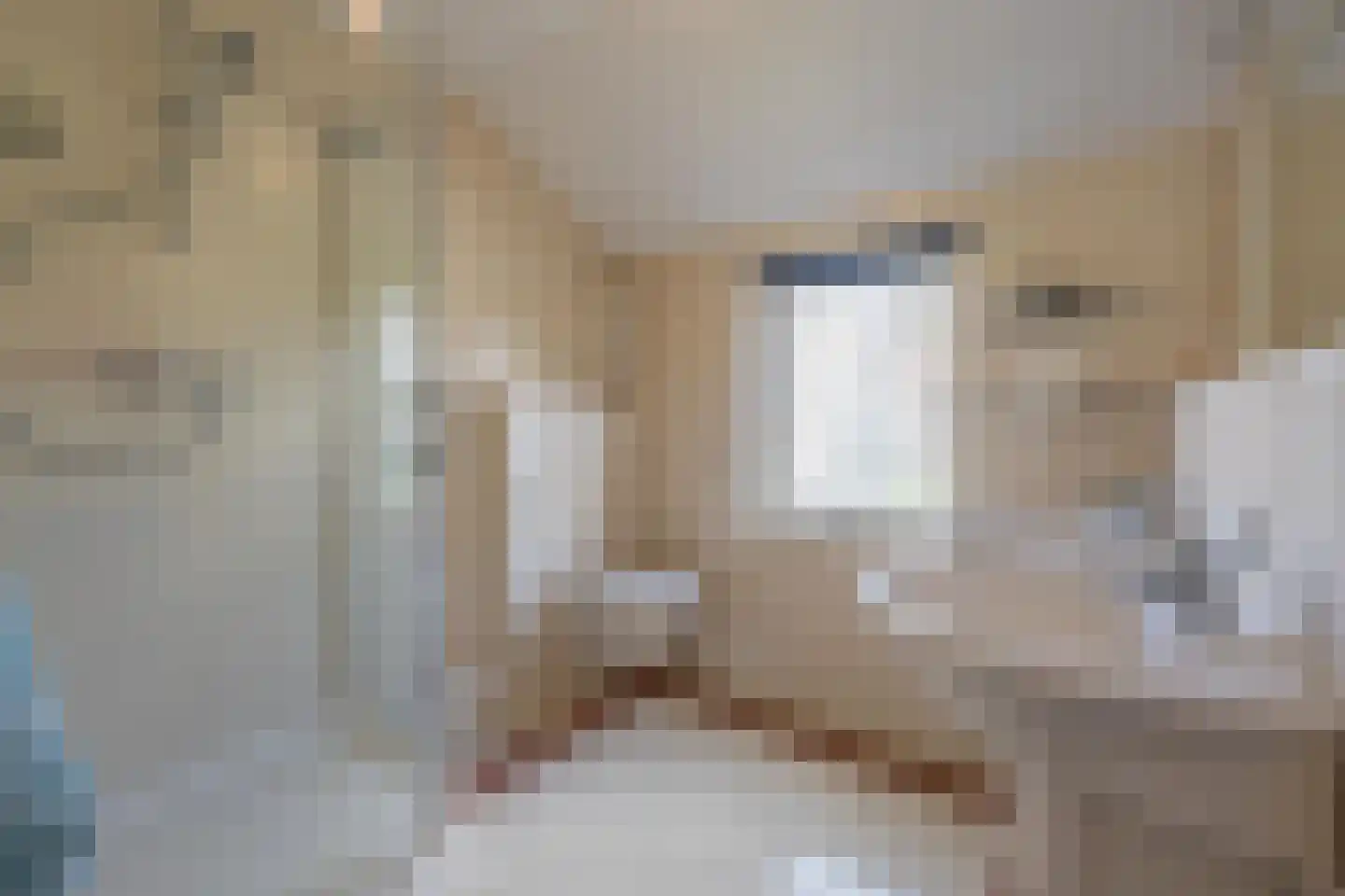 Buitenlust 116 Tiel thumbnail 46