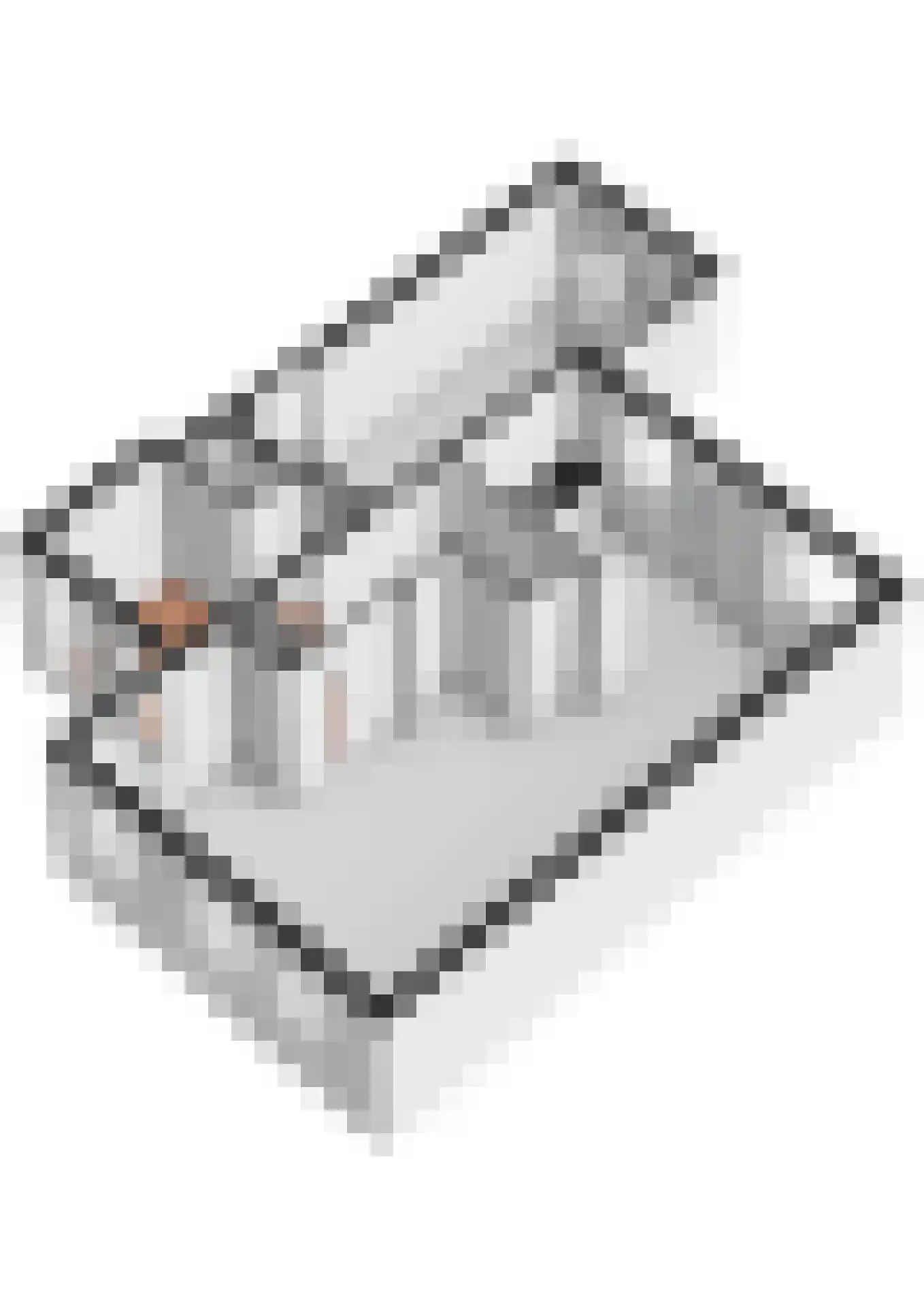 Buitenlust 116 Tiel thumbnail 54