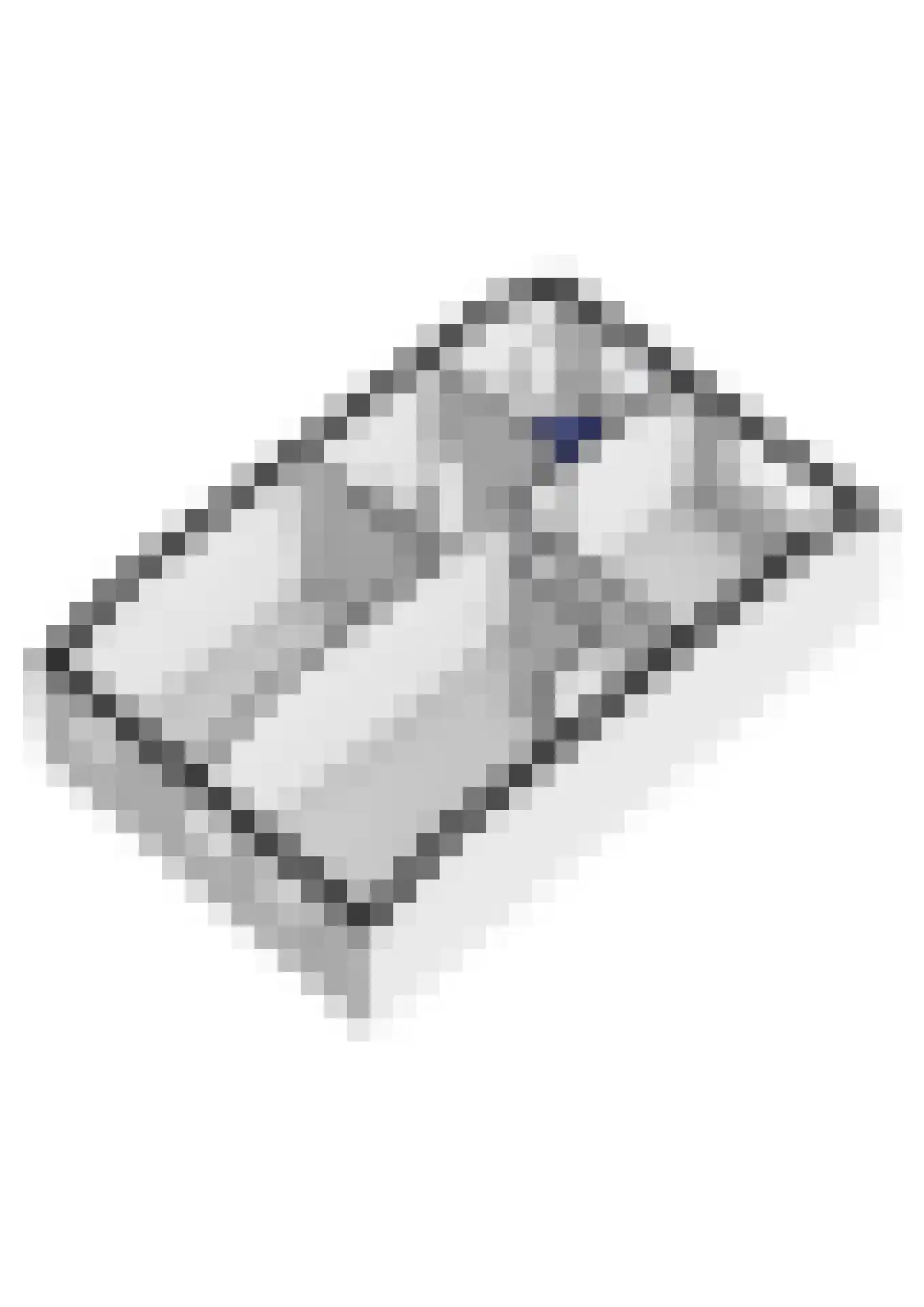 Buitenlust 116 Tiel thumbnail 56