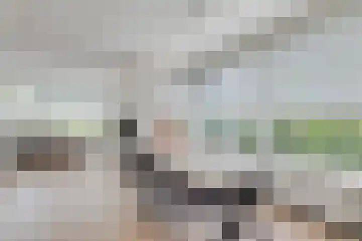 Buitenlust 12 Sappemeer thumbnail 12