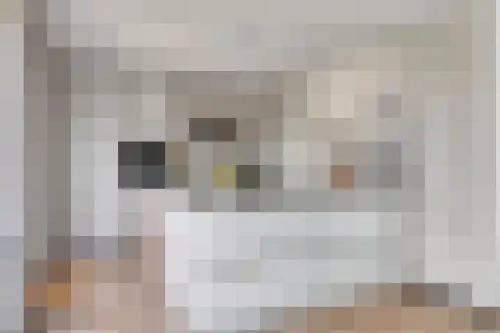 Buitenlust 12 Sappemeer thumbnail 15