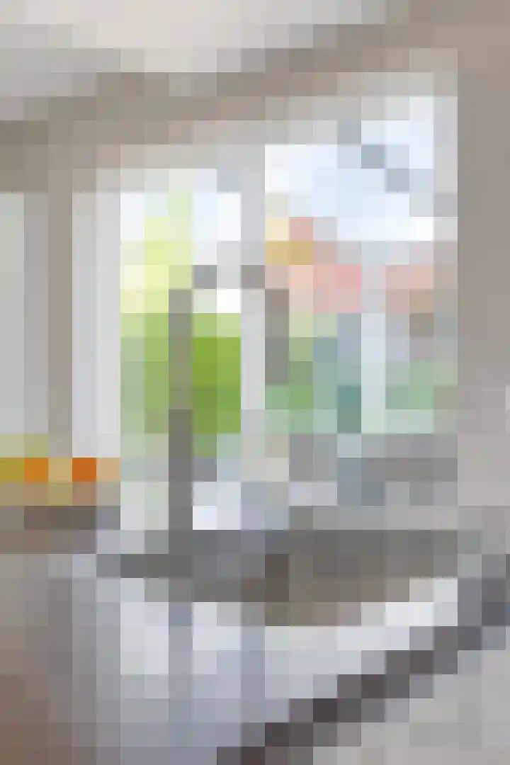 Buitenlust 12 Sappemeer thumbnail 17