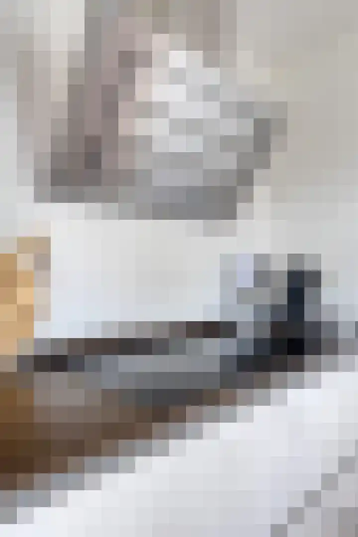 Buitenlust 12 Sappemeer thumbnail 18