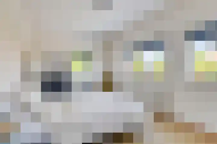 Buitenlust 12 Sappemeer thumbnail 22