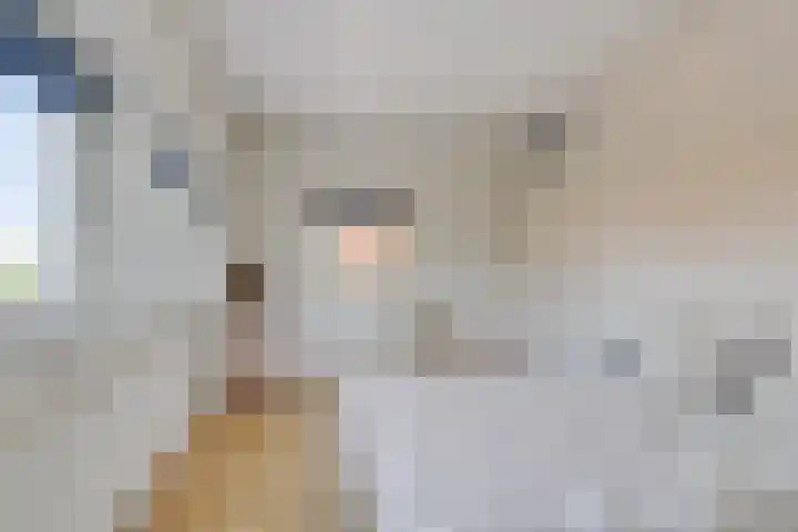 Buitenlust 12 Sappemeer thumbnail 23