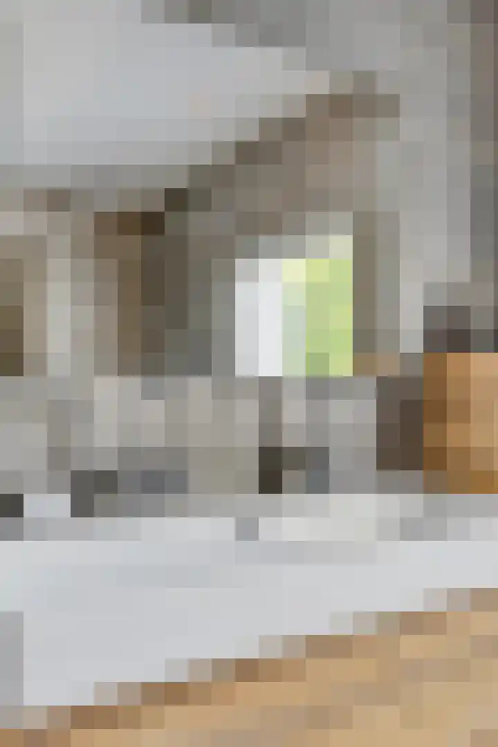 Buitenlust 12 Sappemeer thumbnail 25