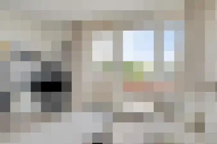 Buitenlust 12 Sappemeer thumbnail 33