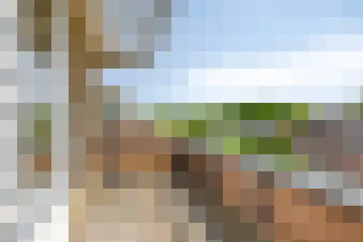 Buitenlust 12 Sappemeer thumbnail 34