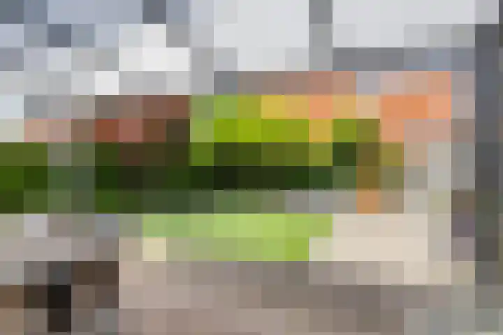 Buitenlust 12 Sappemeer thumbnail 36