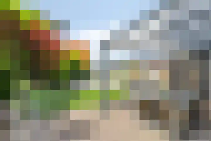 Buitenlust 12 Sappemeer thumbnail 38