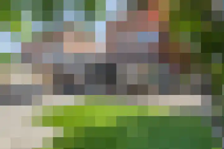 Buitenlust 12 Sappemeer thumbnail 39