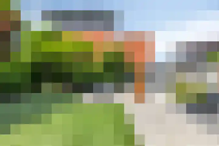 Buitenlust 12 Sappemeer thumbnail 4