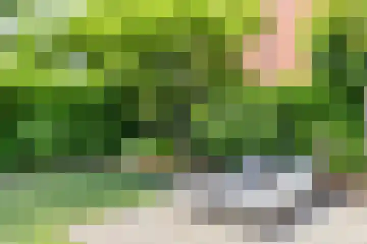 Buitenlust 12 Sappemeer thumbnail 40