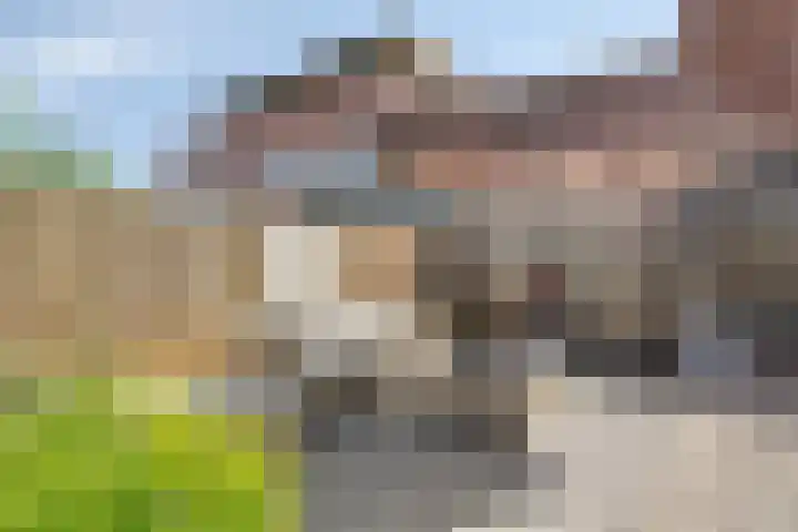 Buitenlust 12 Sappemeer thumbnail 42