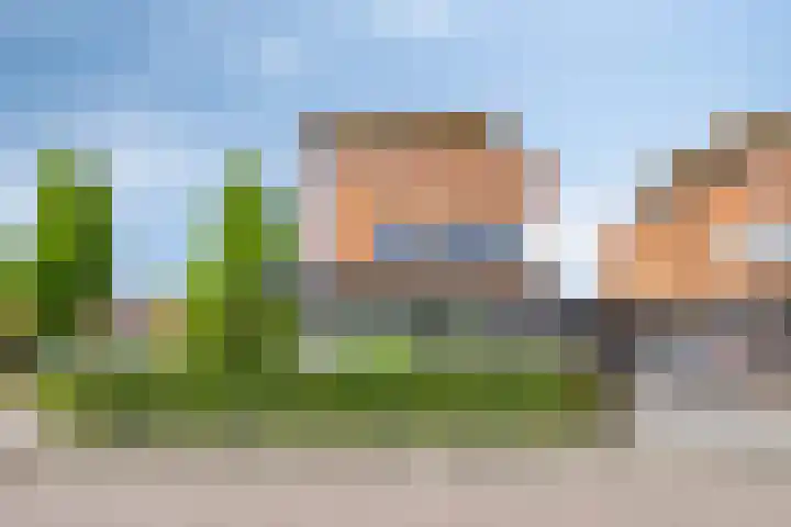 Buitenlust 12 Sappemeer thumbnail 44