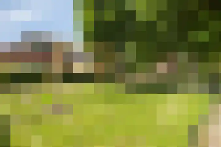 Buitenlust 12 Sappemeer thumbnail 47