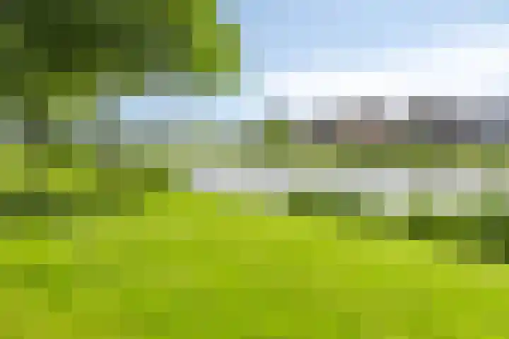 Buitenlust 12 Sappemeer thumbnail 48