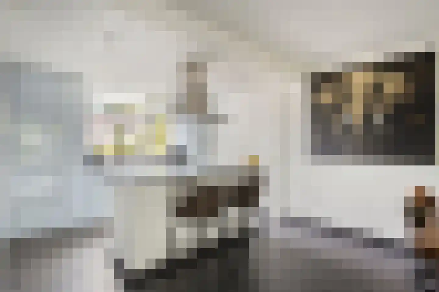 Buitenlust 21 Tiel thumbnail 10