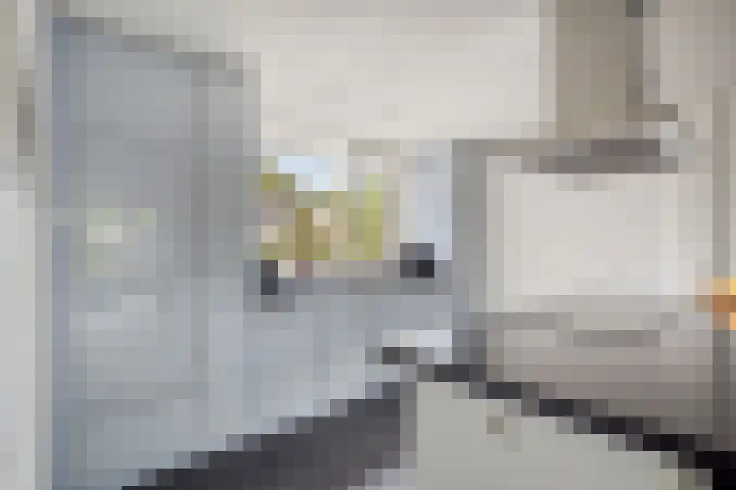 Buitenlust 21 Tiel thumbnail 12