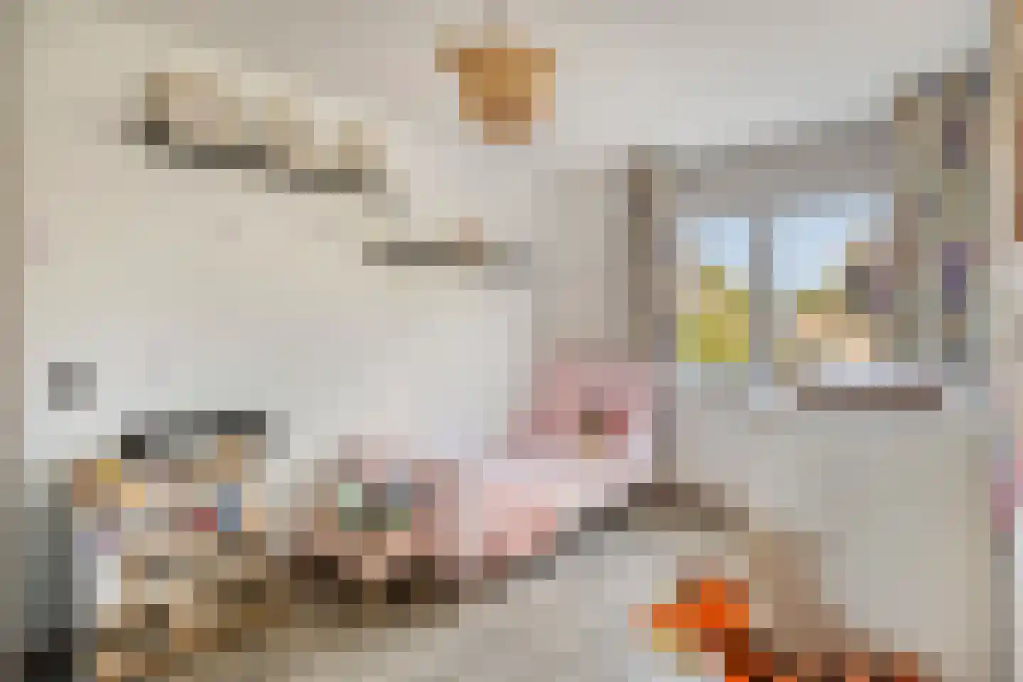 Buitenlust 21 Tiel thumbnail 21