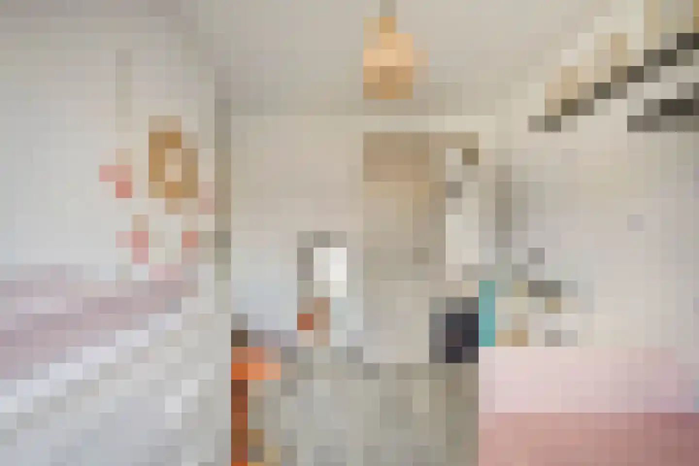 Buitenlust 21 Tiel thumbnail 22