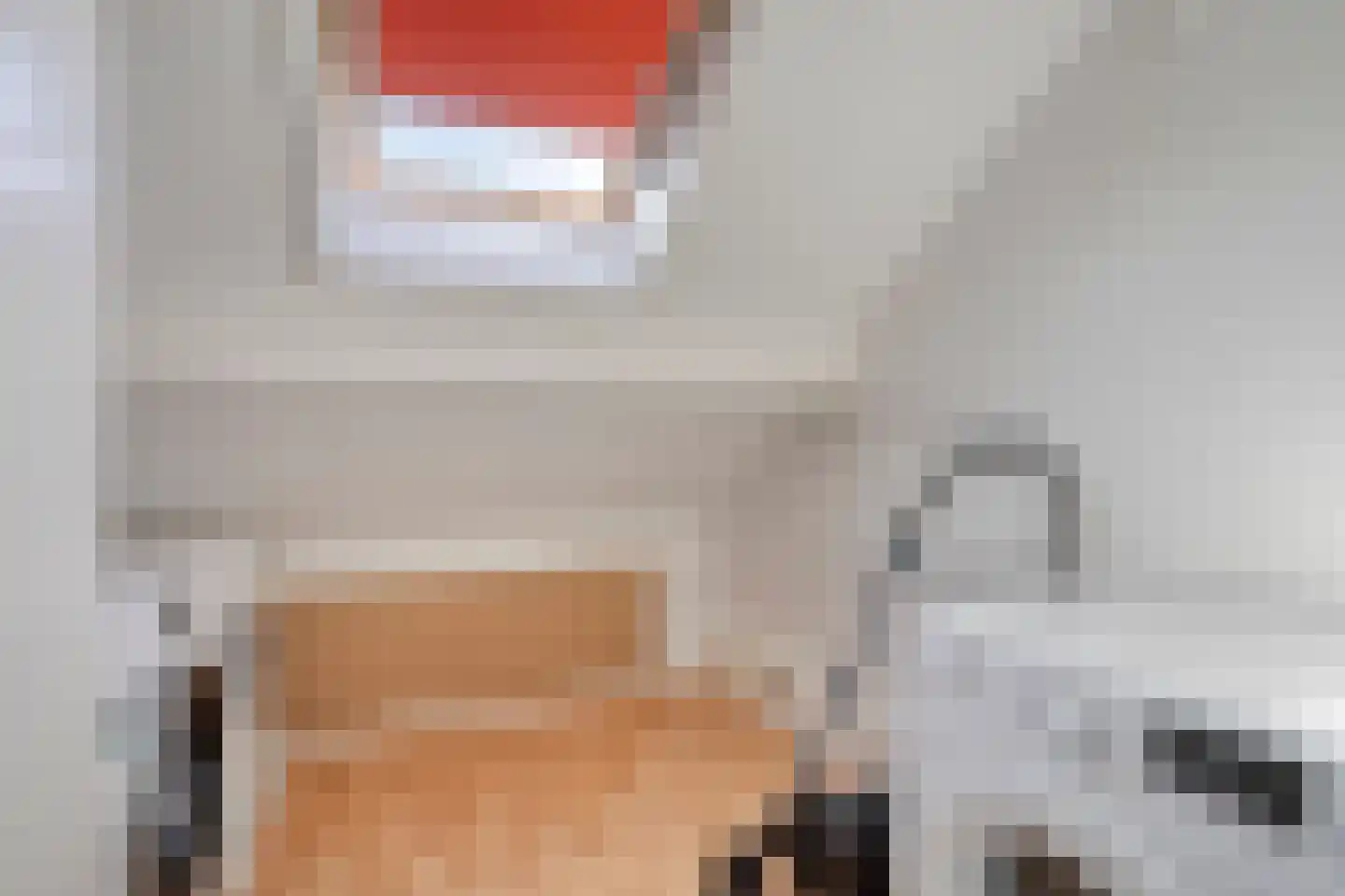 Buitenlust 21 Tiel thumbnail 26