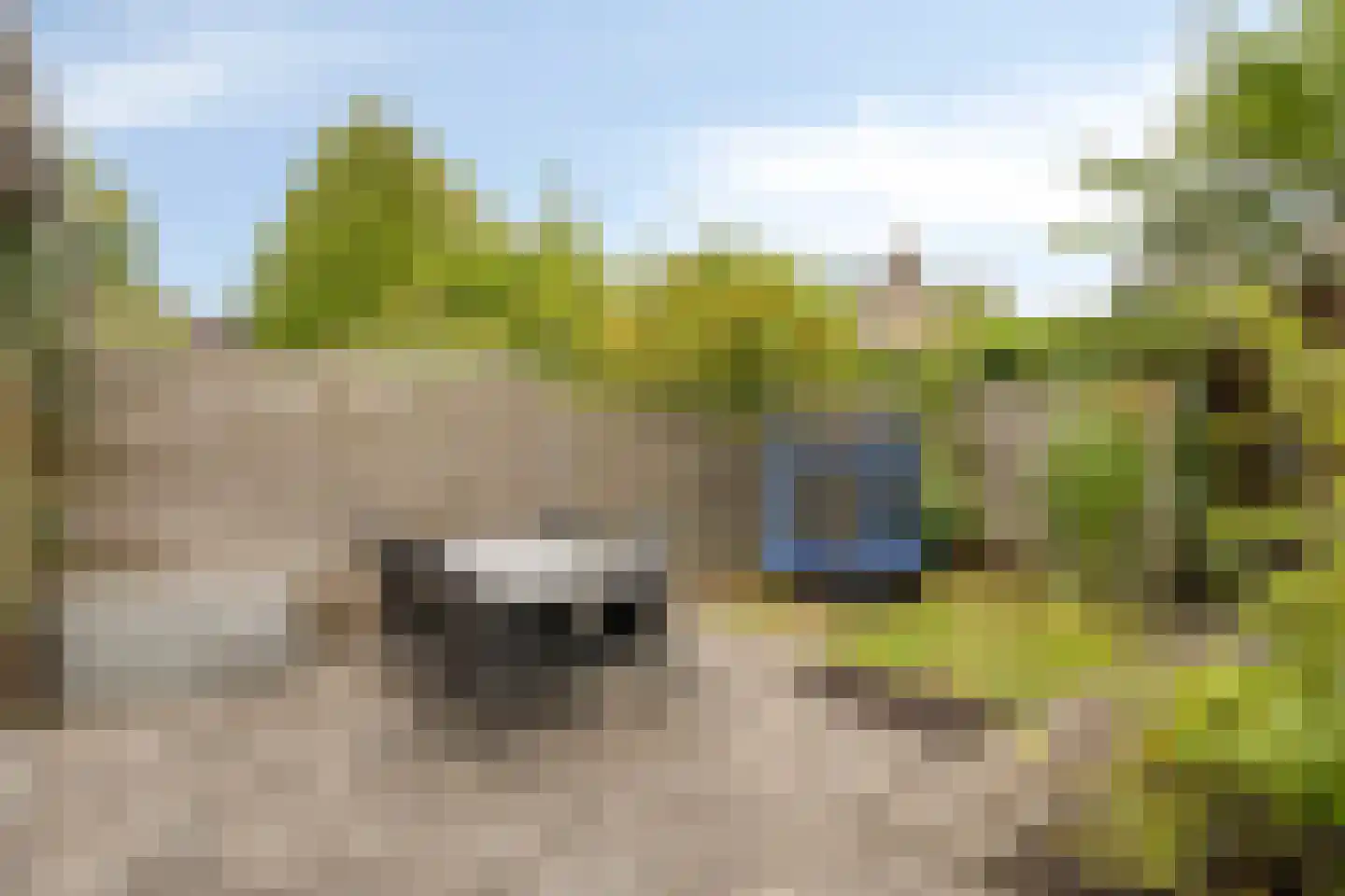 Buitenlust 21 Tiel thumbnail 27