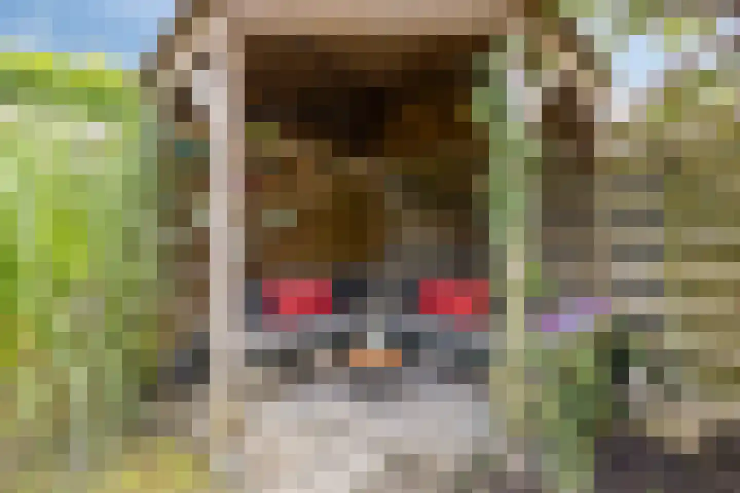 Buitenlust 21 Tiel thumbnail 30