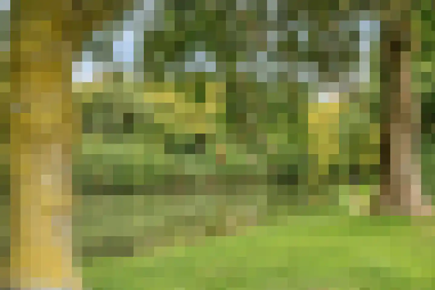 Buitenlust 21 Tiel thumbnail 33