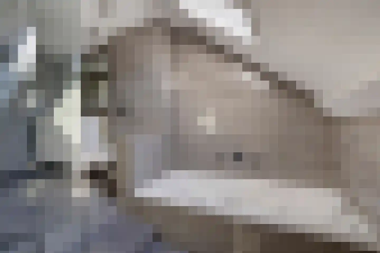 Buitenlust 21 Tiel thumbnail 4