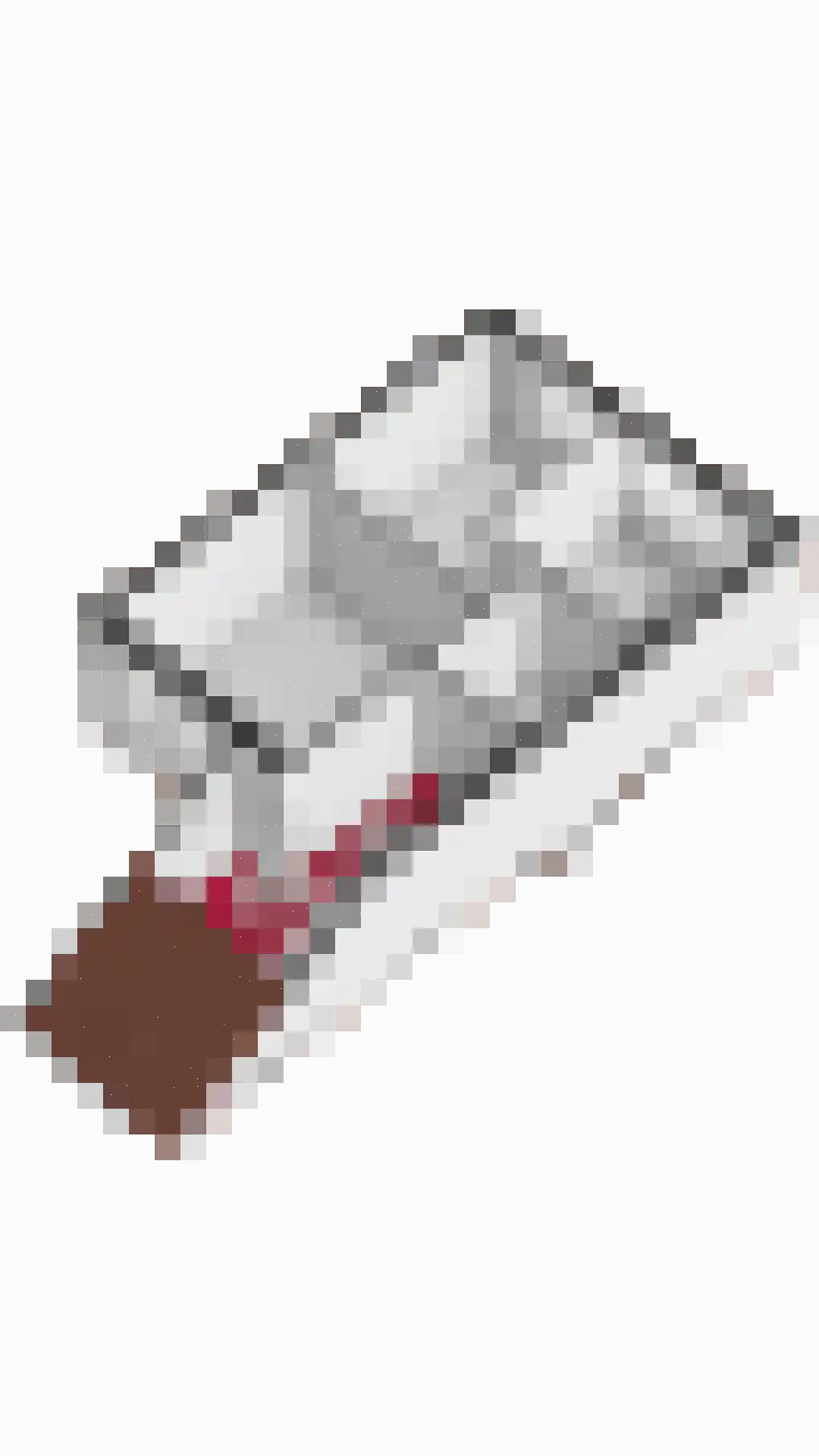 Buitenlust 21 Tiel thumbnail 42