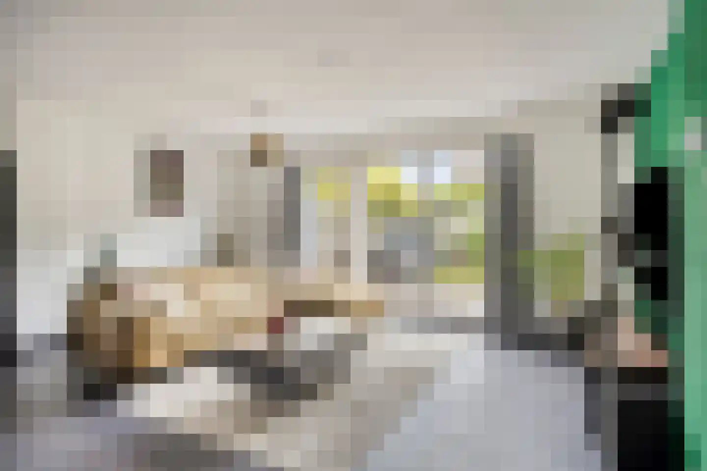 Buitenlust 21 Tiel thumbnail 5