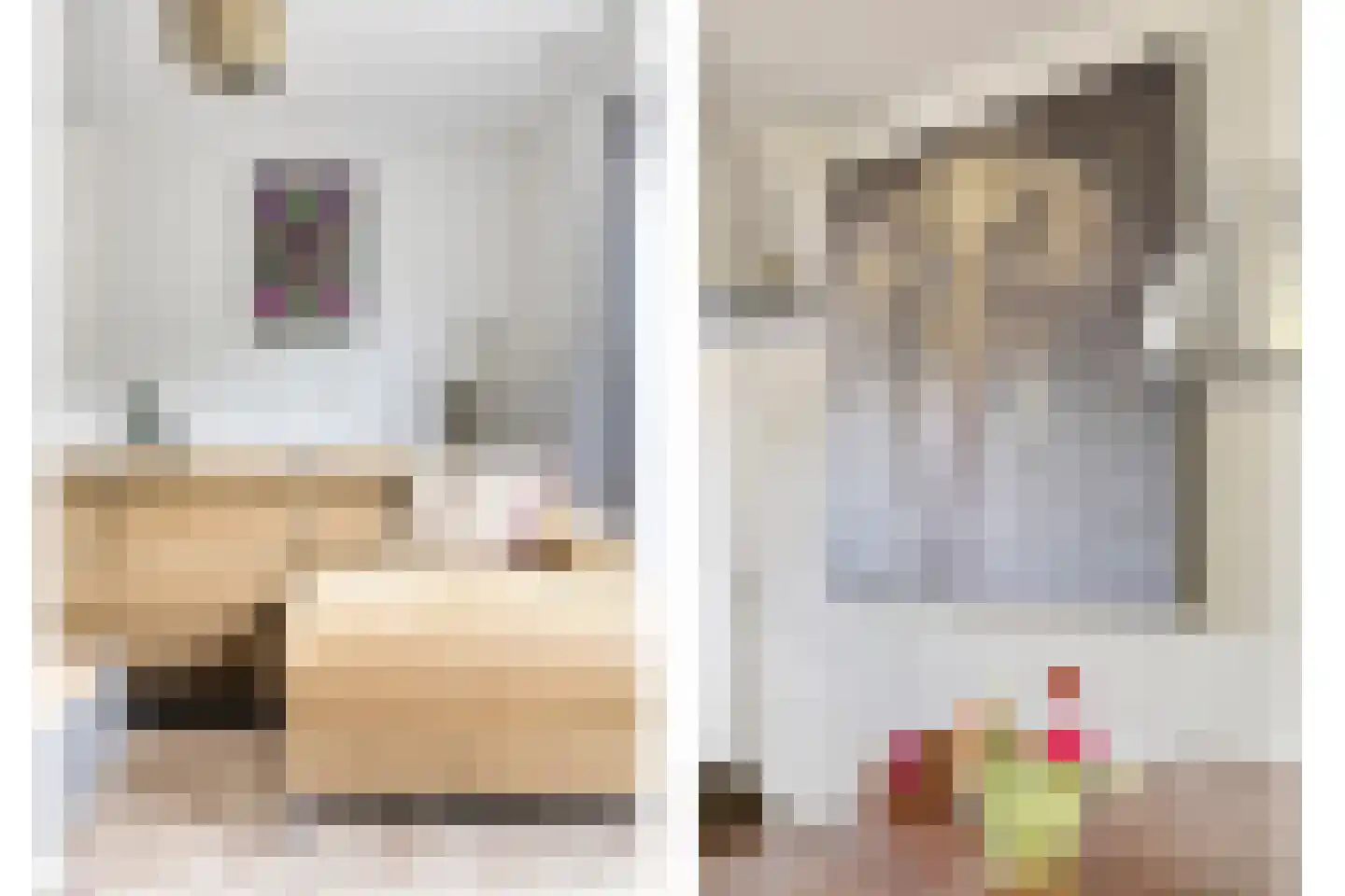 Buitenlust 21 Tiel thumbnail 7