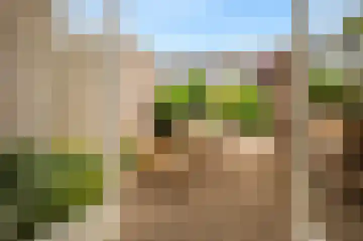 Buitenlust 32 Diemen thumbnail 12
