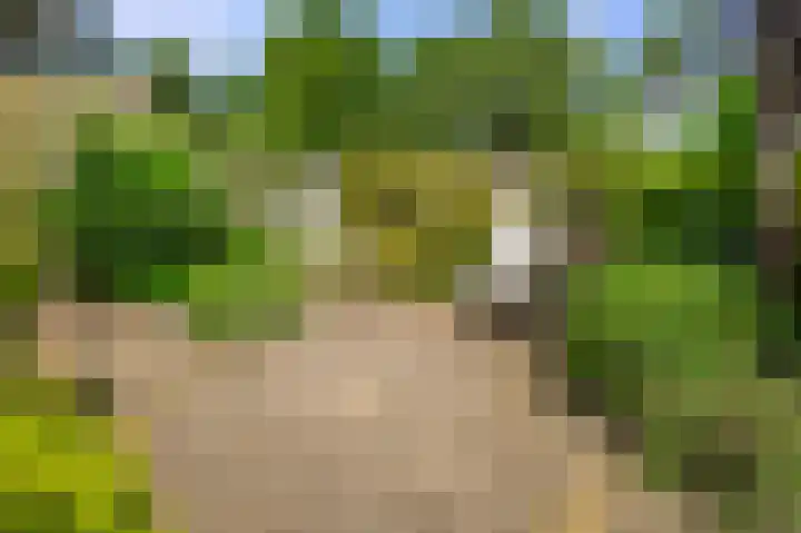 Buitenlust 32 Diemen thumbnail 16