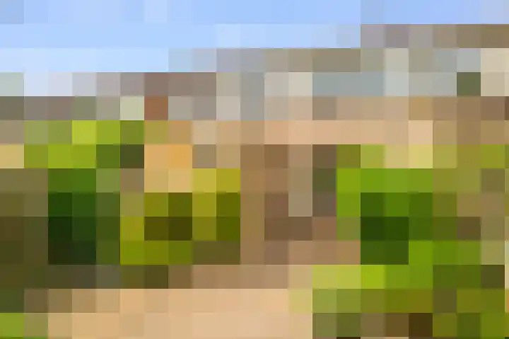 Buitenlust 32 Diemen thumbnail 17