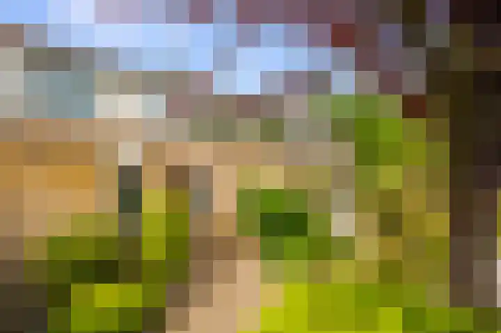 Buitenlust 32 Diemen thumbnail 19