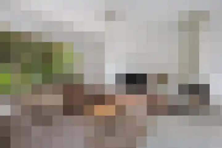 Buitenlust 32 Diemen thumbnail 4