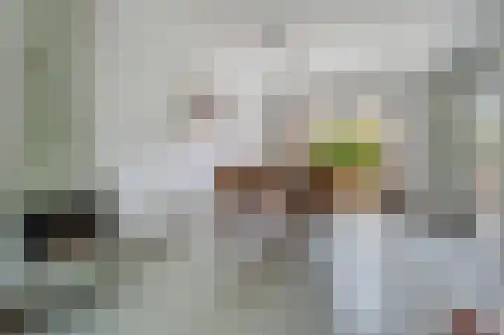 Buitenlust 32 Diemen thumbnail 6