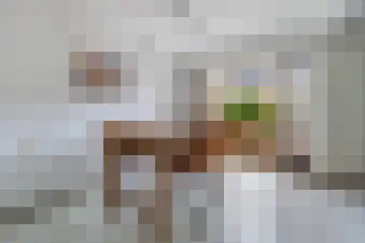 Buitenlust 32 Diemen thumbnail 9