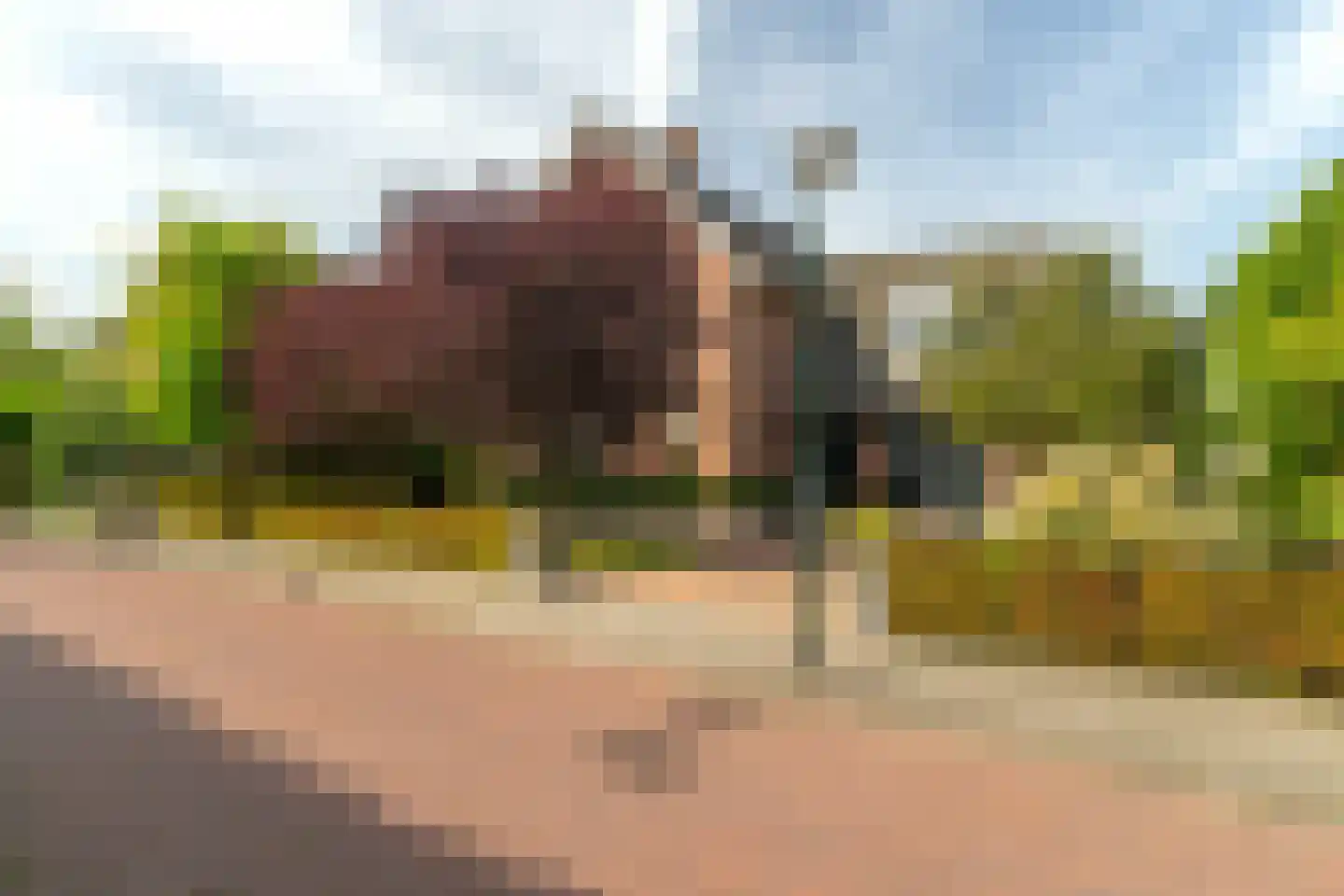 Buitenlust 4 in Sleeuwijk