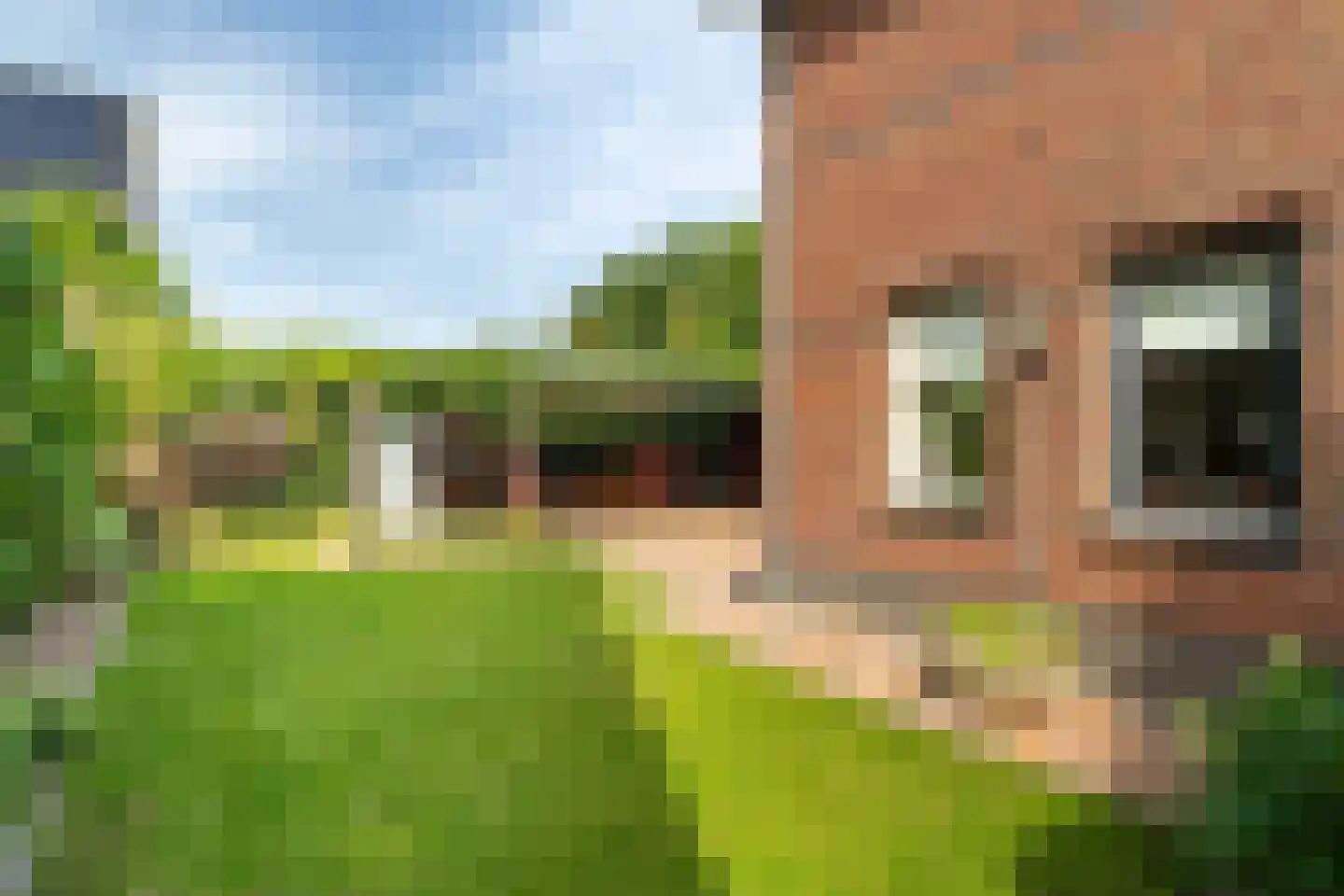 Buitenlust 4 Sleeuwijk thumbnail 36