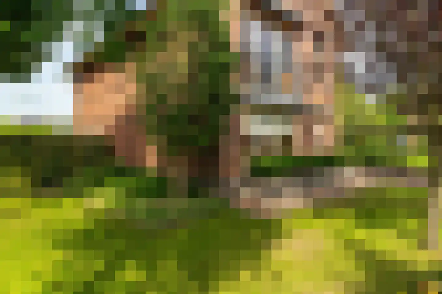 Buitenlust 4 Sleeuwijk thumbnail 4