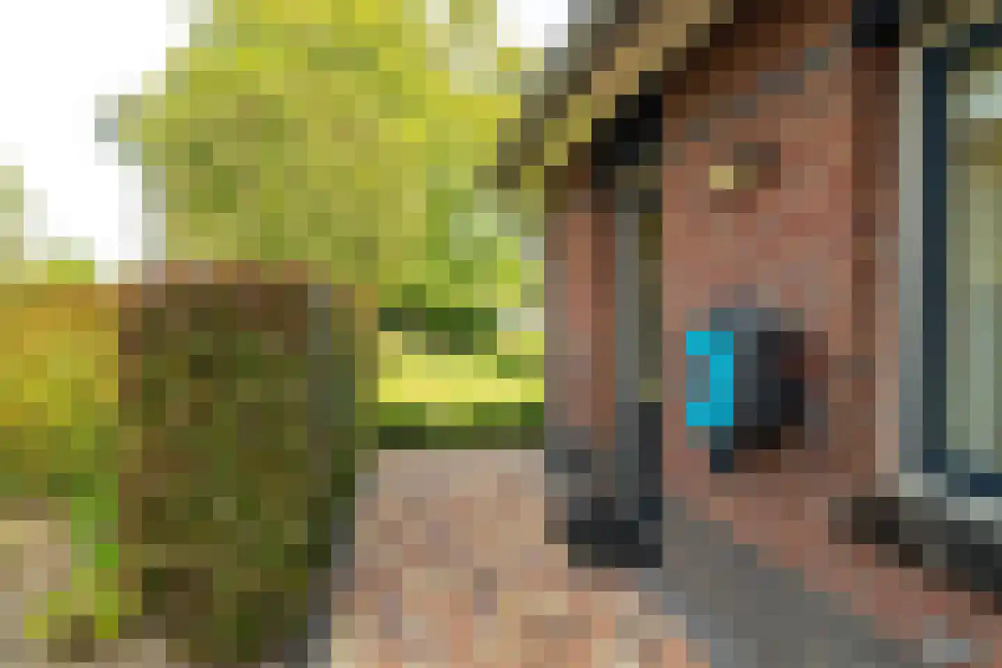 Buitenlust 4 Sleeuwijk thumbnail 41