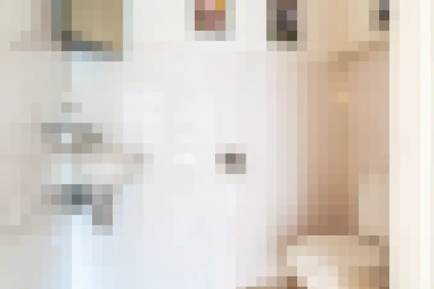 Buitenlust 4 Sleeuwijk thumbnail 8