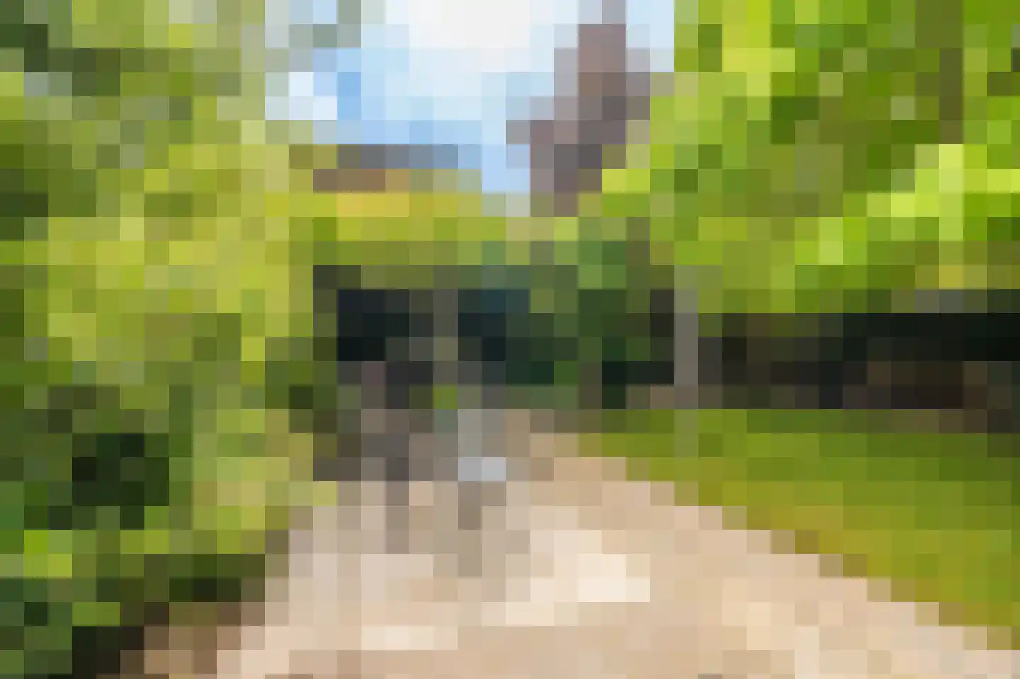 Buitenlust 68 Sappemeer thumbnail 28