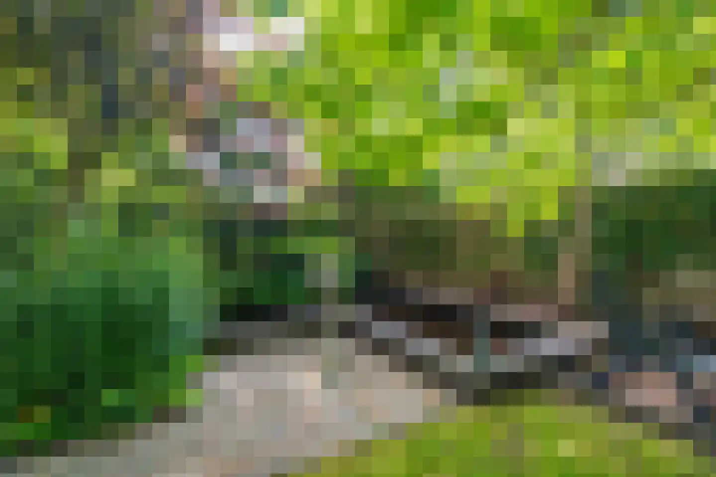 Buitenlust 68 Sappemeer thumbnail 29
