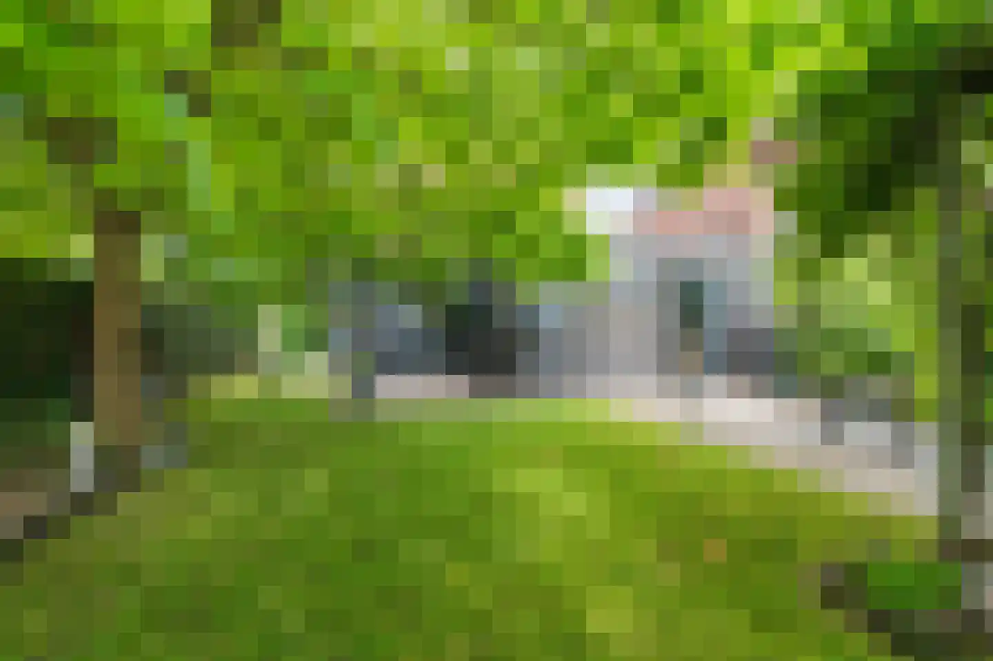 Buitenlust 68 Sappemeer thumbnail 30