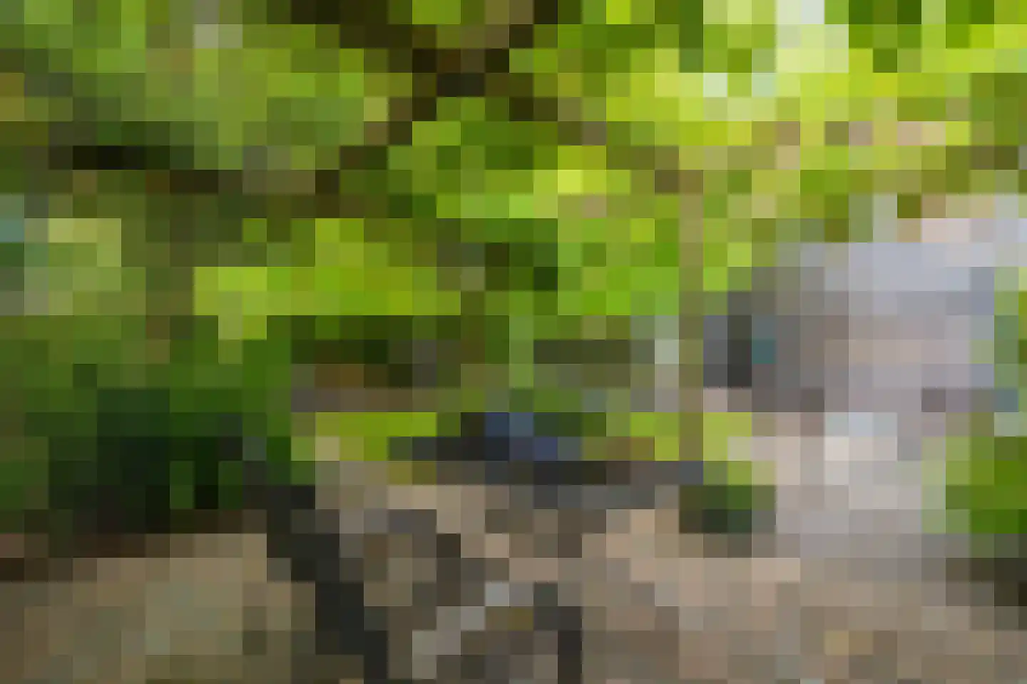 Buitenlust 68 Sappemeer thumbnail 31